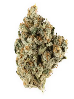 Blueberry Headband | 1g | PRJ | BeWell