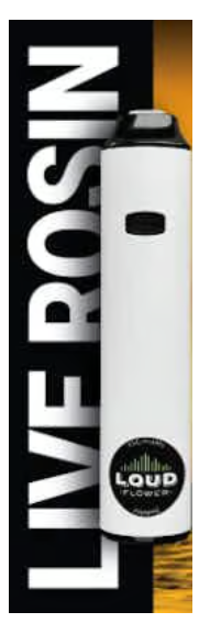 MI Loud - Garlic Cocktail - .5g Live Rosin Disposable