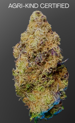 Agri Kind Gmo