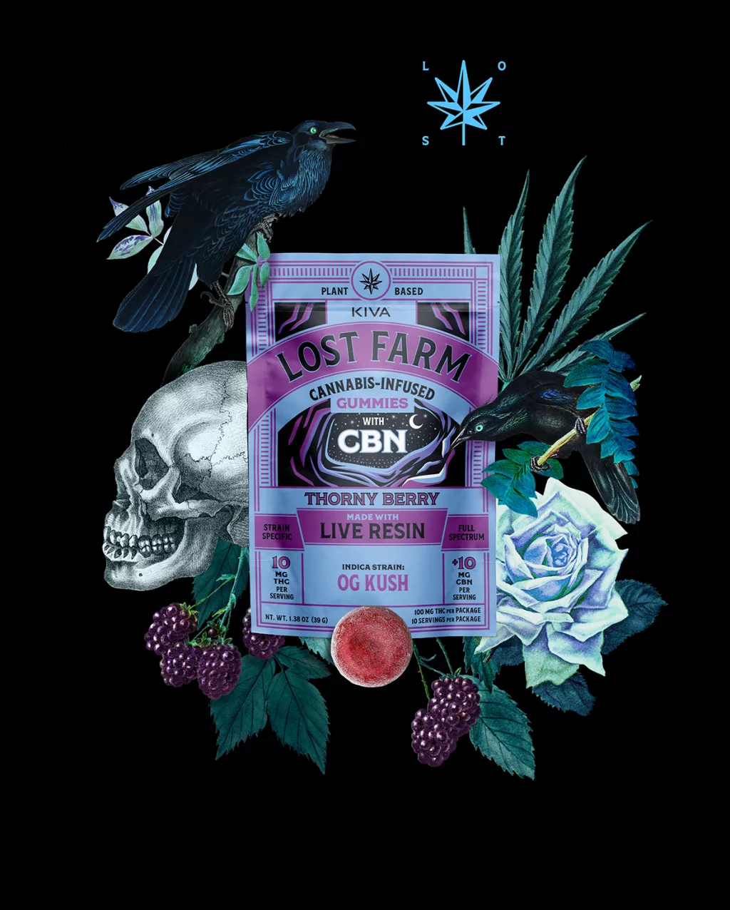 Thorn Berry x OG Kush | THC : CBN Gummies | 10pk | 100mg