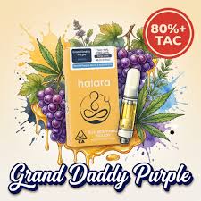Halara | Grandaddy Purple | High THC | AIO | 1g by Halara - vapes cannabis product