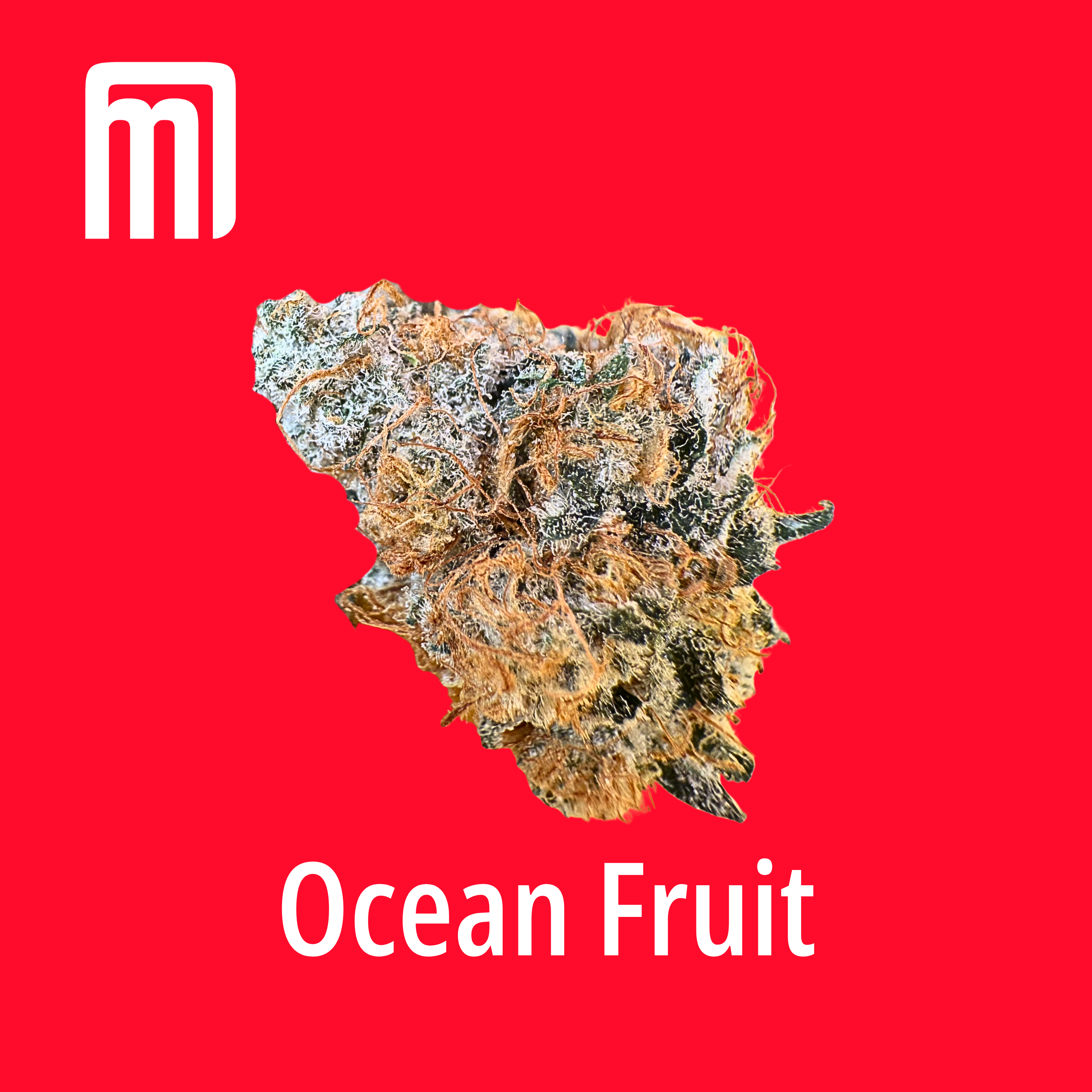 Ocean Fruit