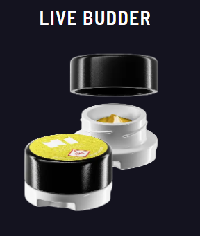 GYP x VRC | 1G | Live Budder