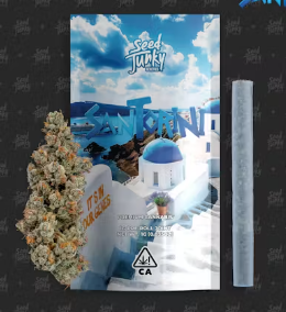 Seed Junky - Preroll - Santorini [H]