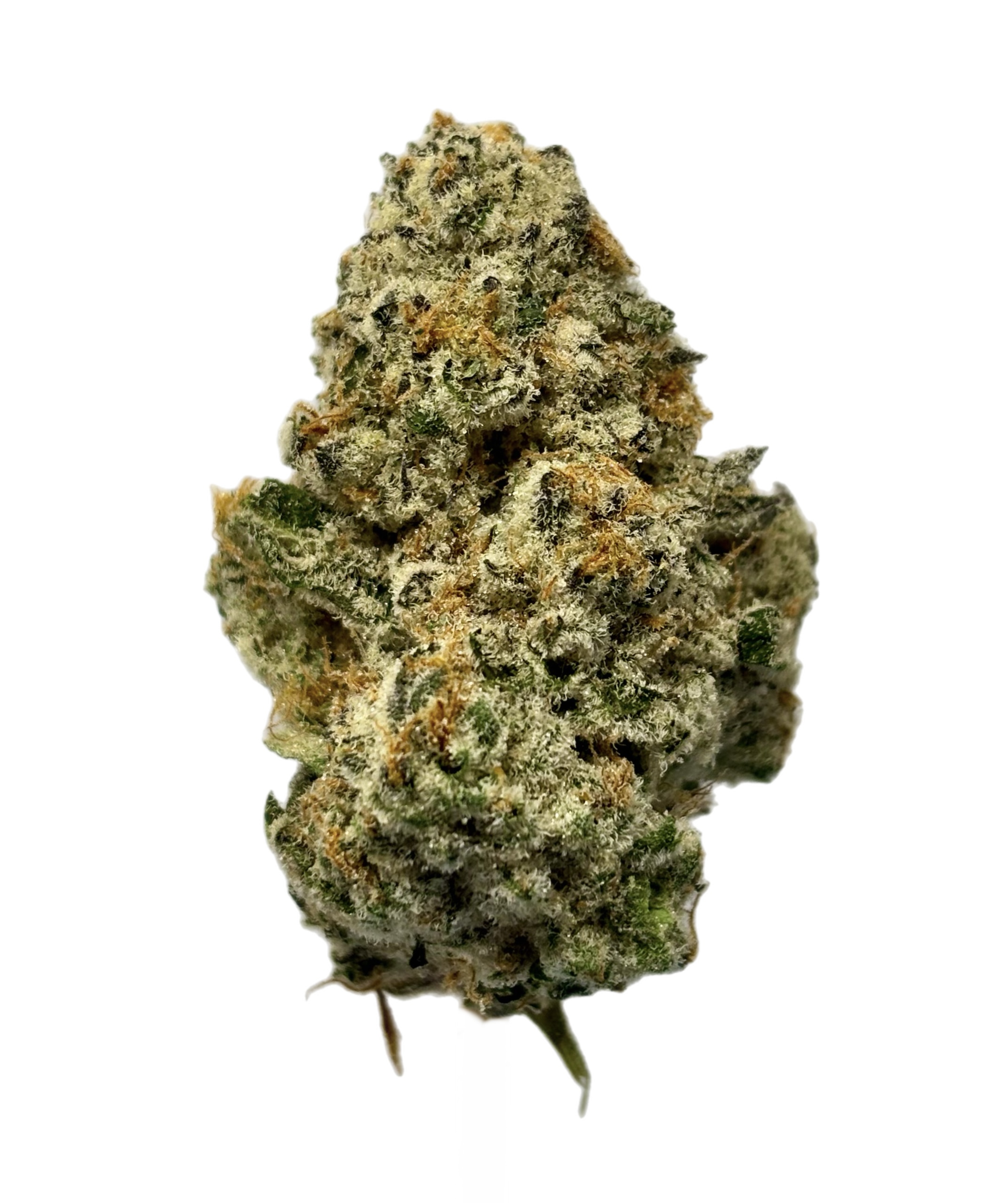 NORTHWOODS | CAP JUNKY | BULK FLOWER