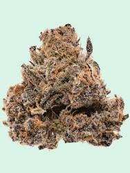 Bulk Flower - Pie Runtz