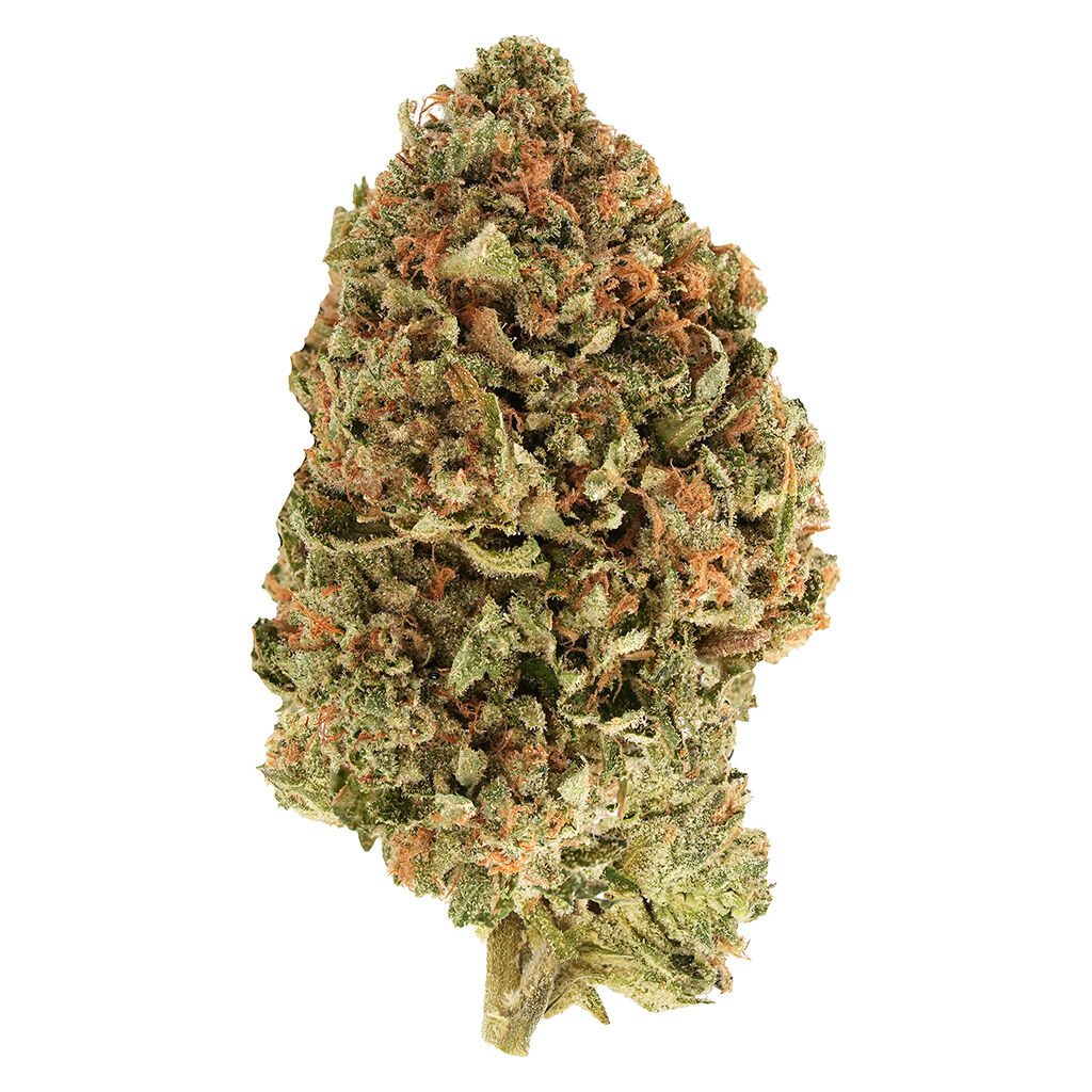 Simply Bare - BC Organic Tea Time #7 - RS11 x Zktlz - 3.5g