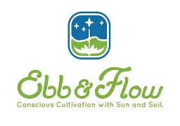 Ebb & Flow: Sun Lounger