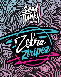 Infused Donut 1.5g - Zebra Ztripez