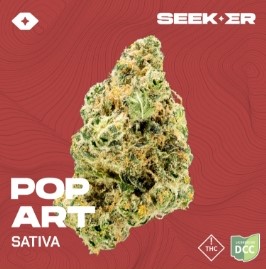 Seeker Pop Art