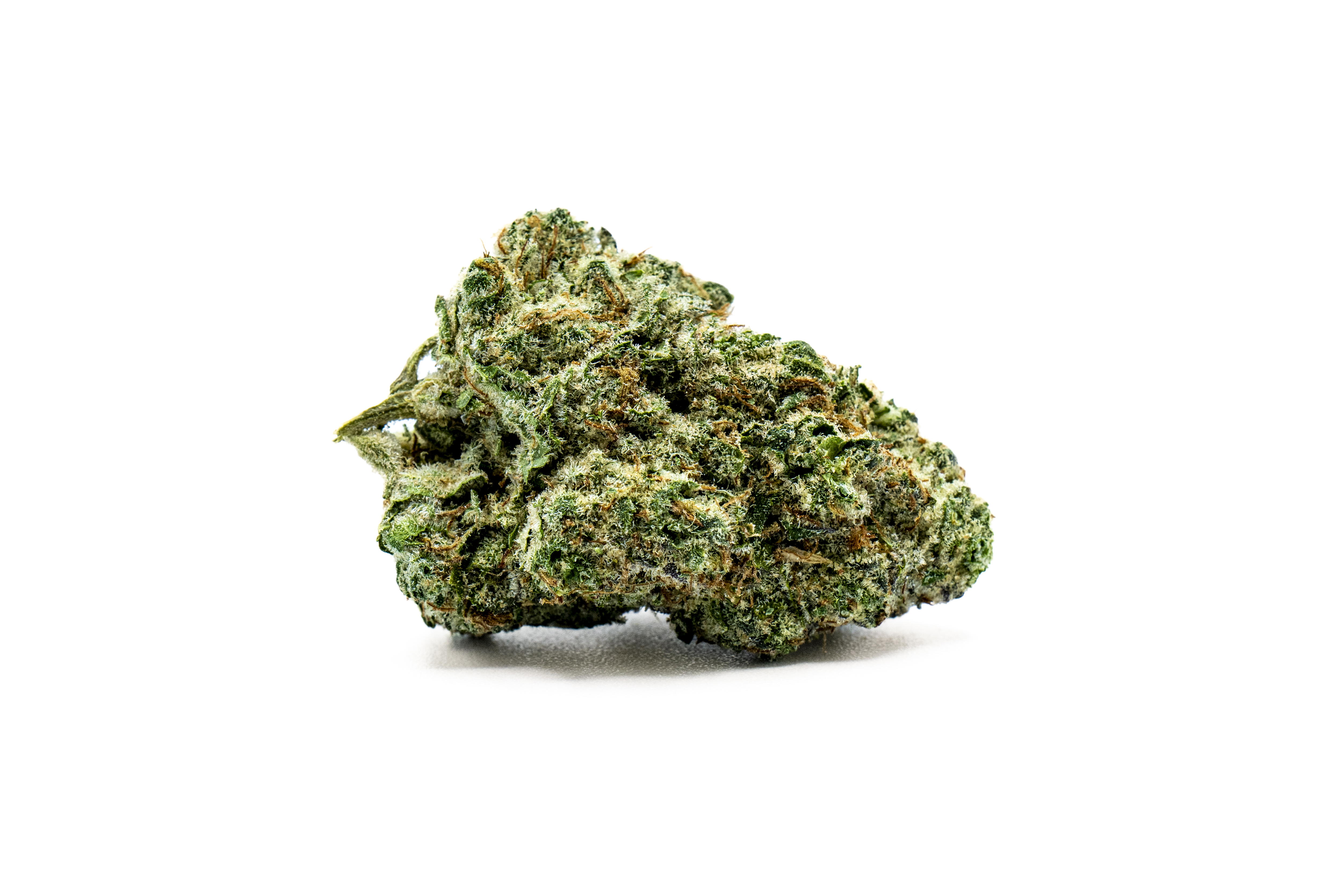 Cannalope Haze: Flower
