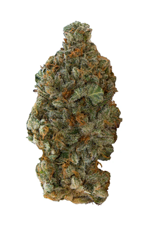 GSC