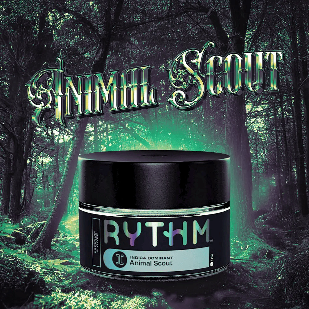 Rythm | Animal Scout