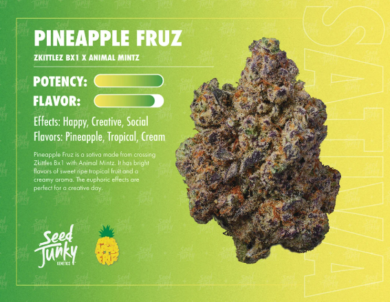 Seed Junky Banana Fruz Hybrid
