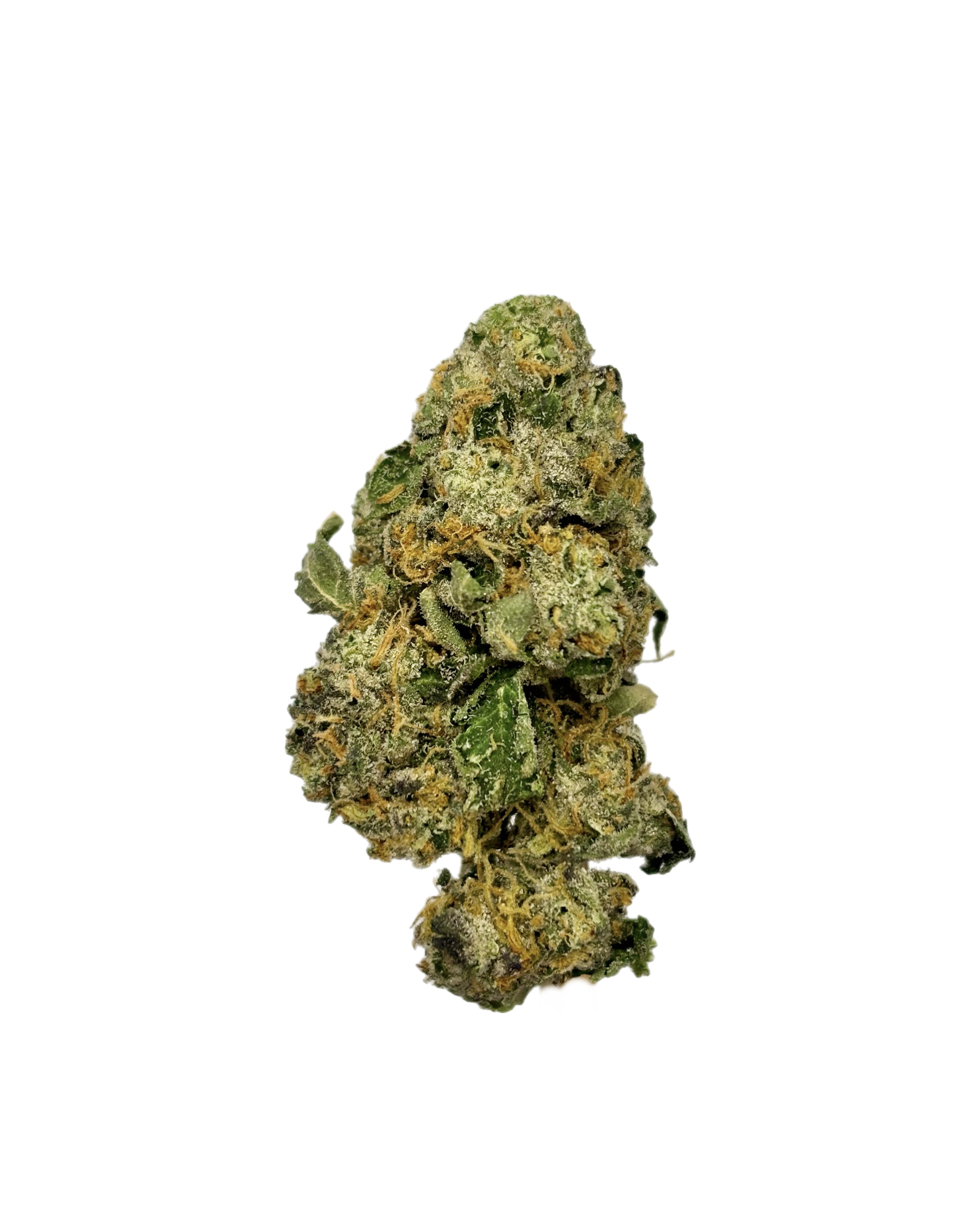 Redbud Roots | Sherbanger | Bulk Flower | Purple Tier