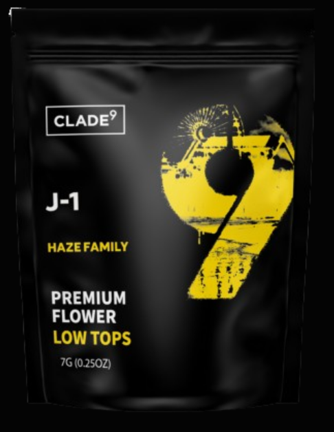 Clade 9 | J1