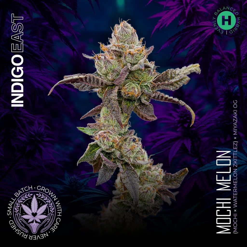 Mochi Melon | Indigo East
