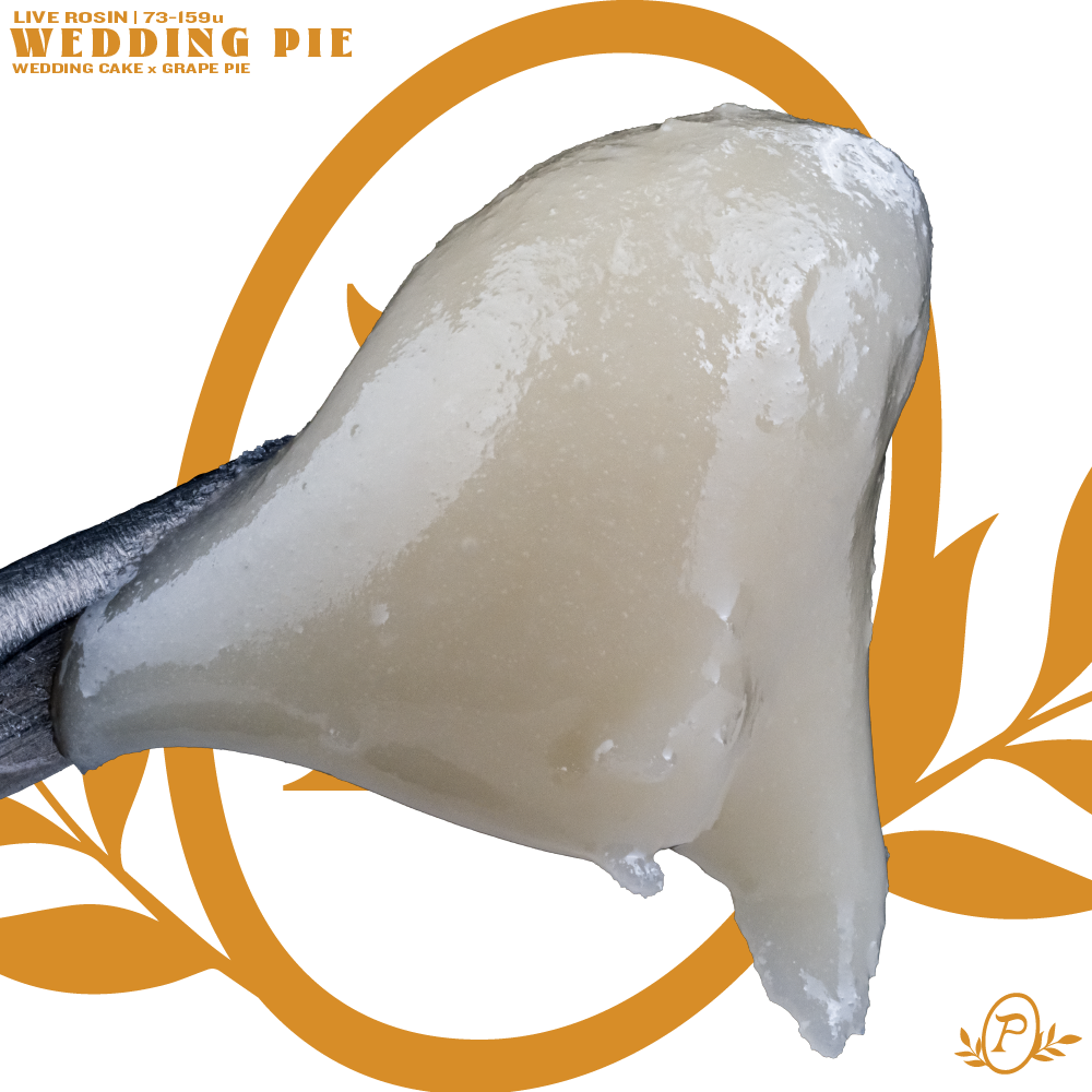 Wedding Pie Live Rosin