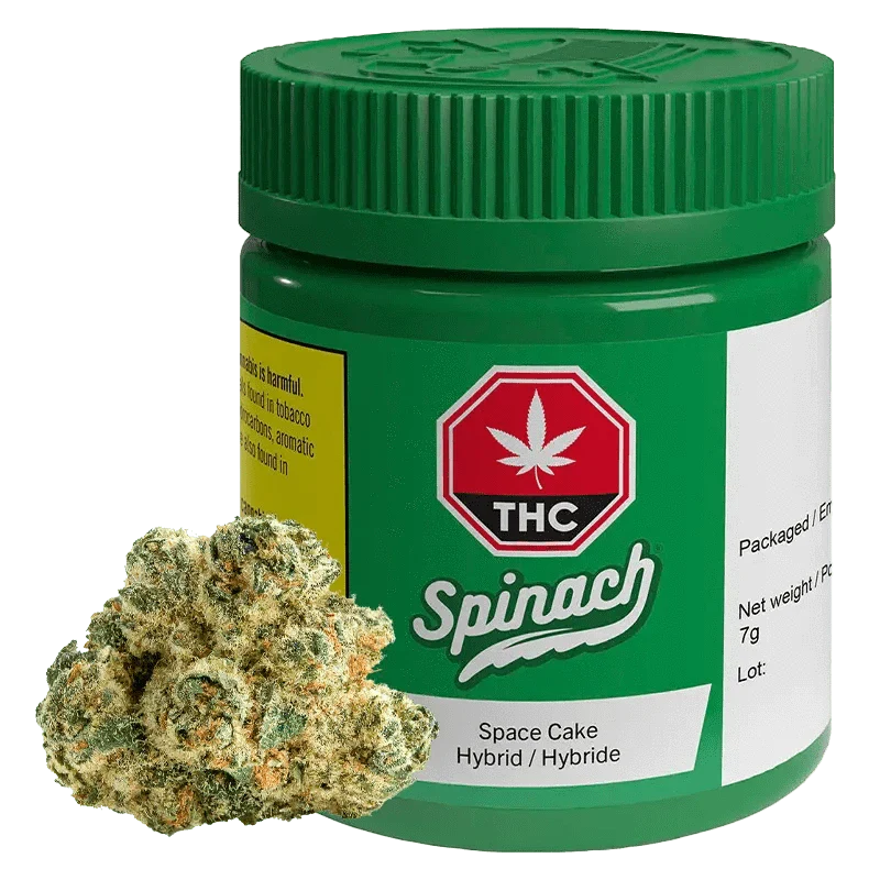 Spinach : Space Cake