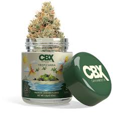 Cannabiotix - Tropicanna | Eighths
