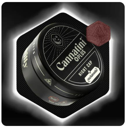 Blackberry Martini RSO 2:1:1 THC:CBD:CBN + Melatonin Gummies | Cannatini |