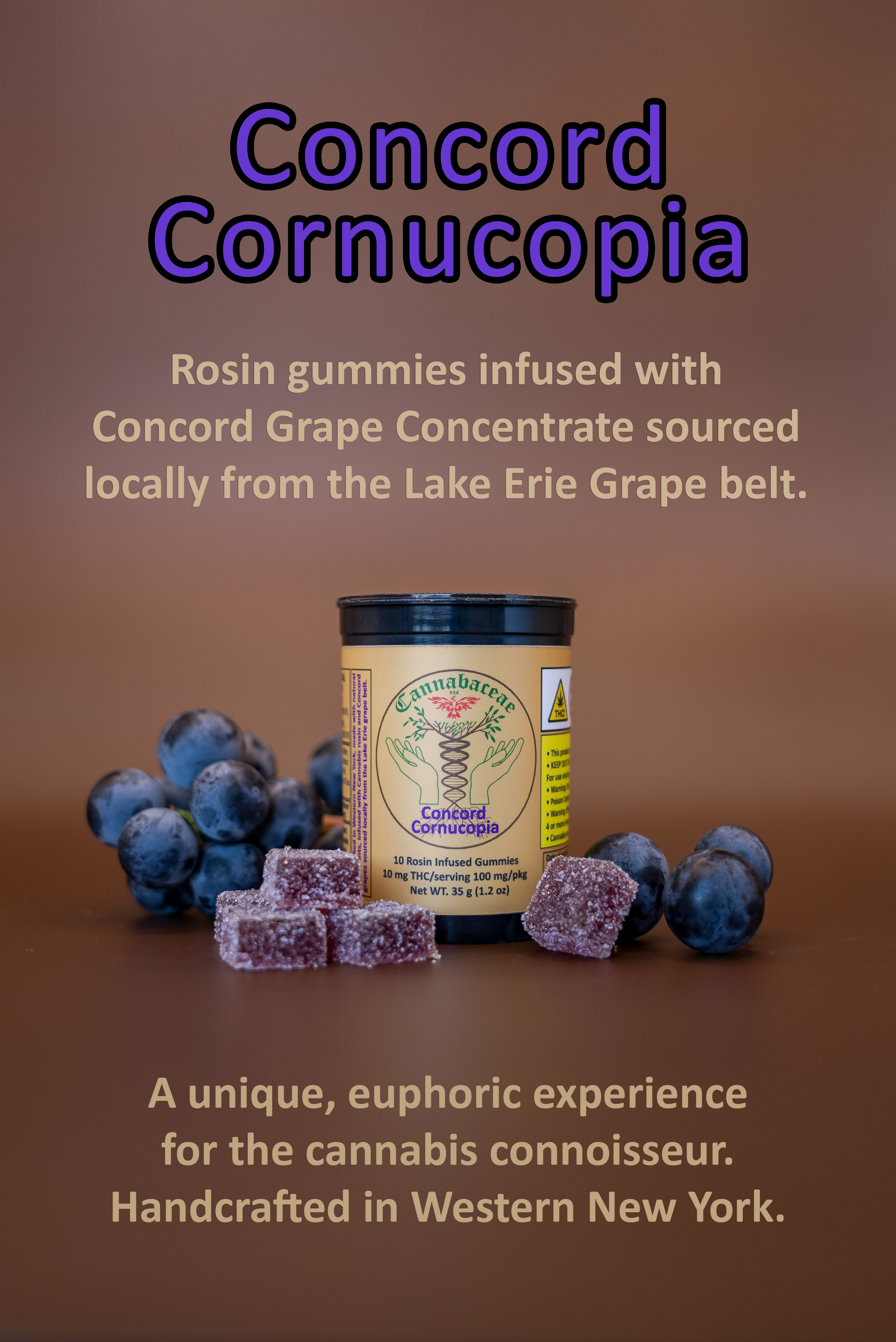 CONCORD CORNUCOPIA | 10THC | LIVE ROSIN | GUMMIES