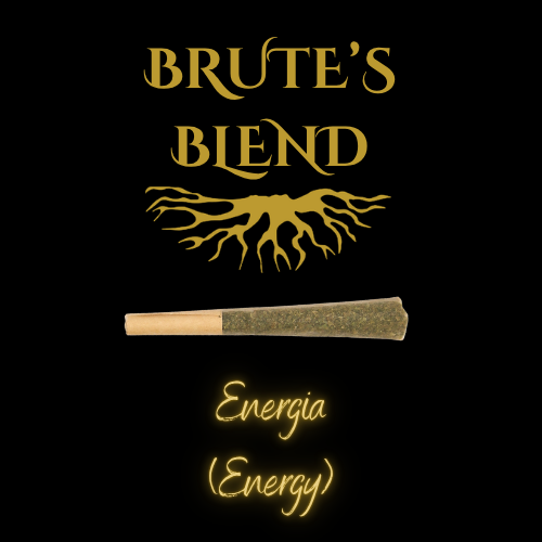 Single PreRoll - Brute's Blend Sativa  |  MED