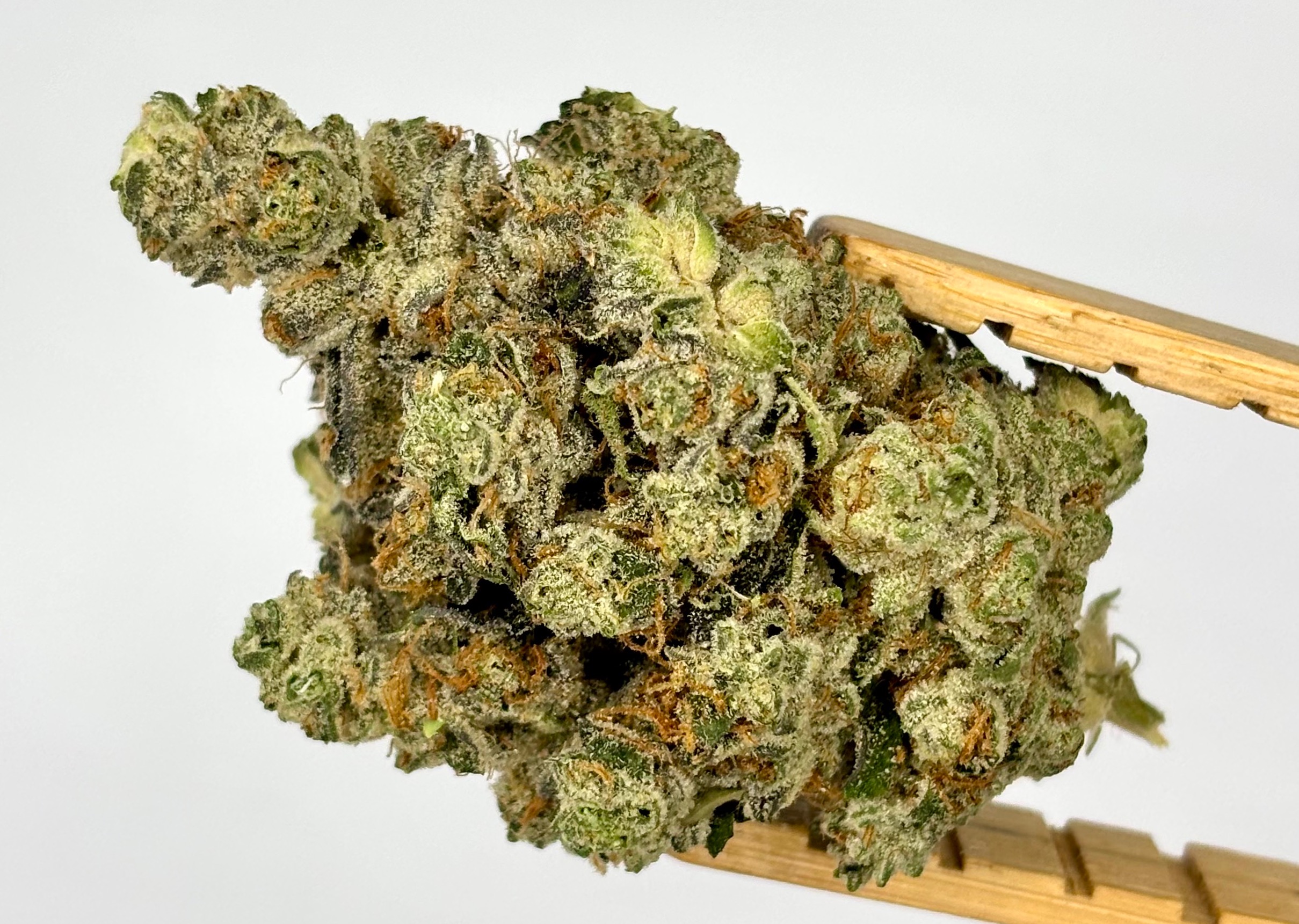 Insano Cake | Bulk Flower | Yellow Tier