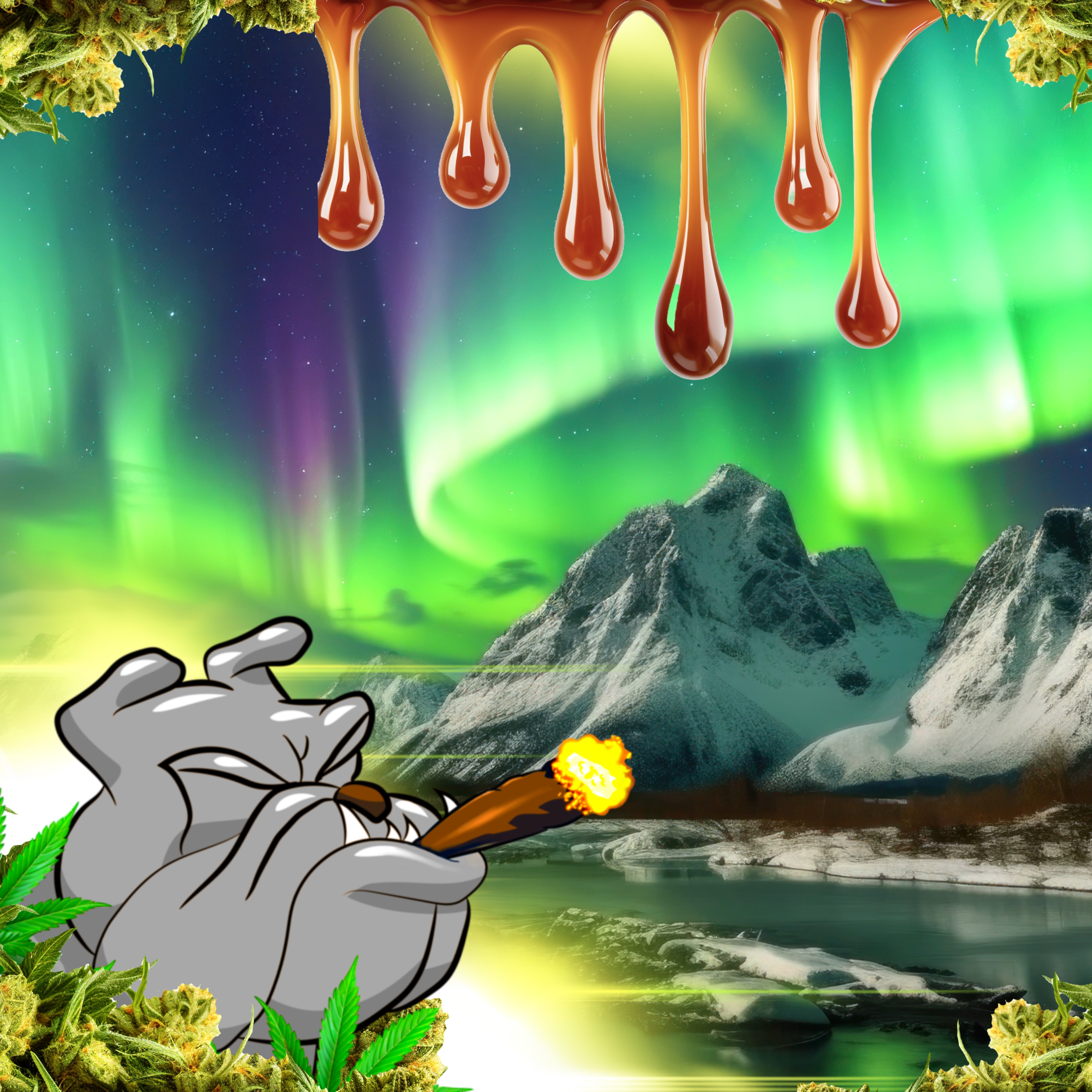 Star Dawg X Northern Lights | RSO Syringe