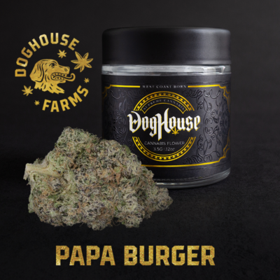 Papa Burger Bulk (I)
