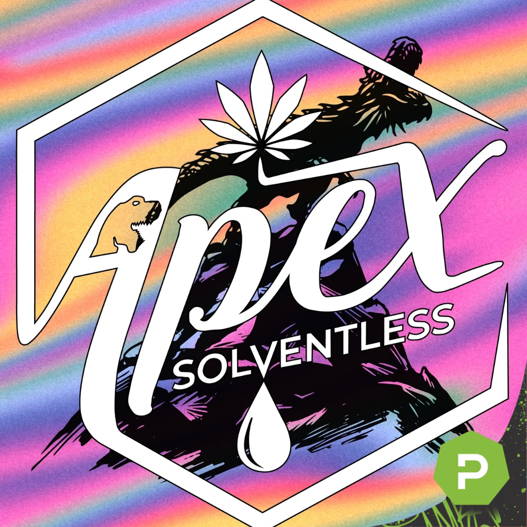 Apex Solventless | 2g Live Rosin Thumbprint | Ceviche