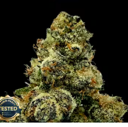 RuggedRoots - Mellows - 3.5g - H