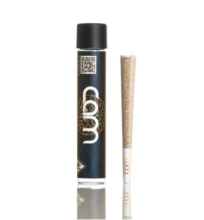 CAM Preroll Scotties Cake 1G