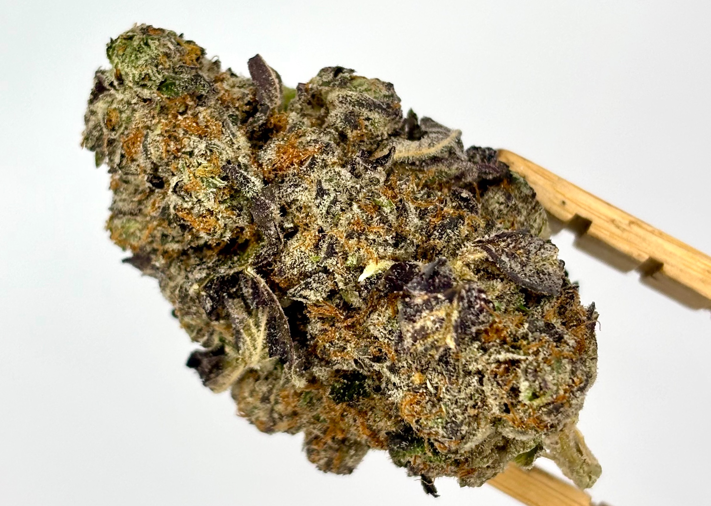 Gypsy Soap | Bulk Flower | Purple Tier