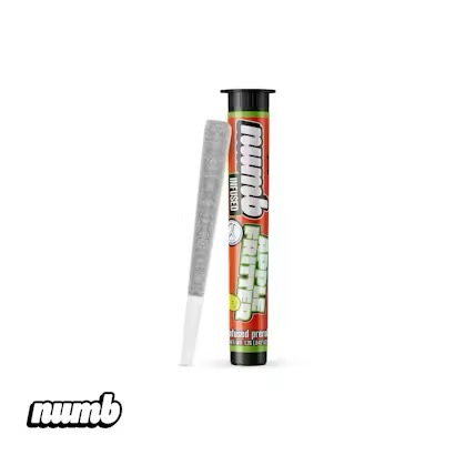 Numb Infused Pre-Roll | Apple Fritter
