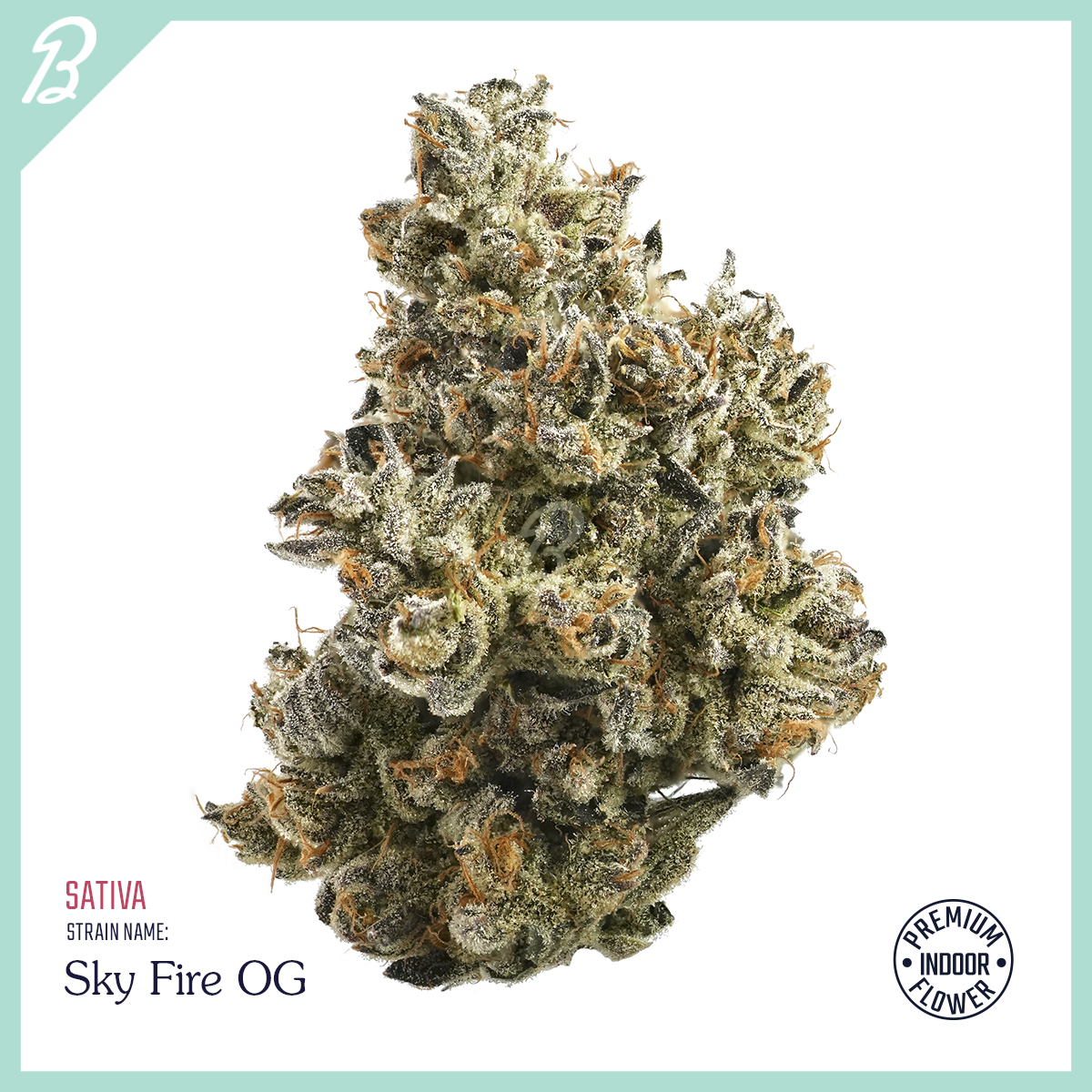 Bouket Sky Fire OG