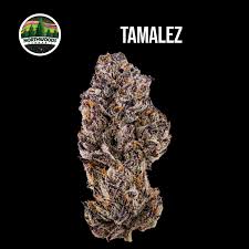 Tamalez Flower