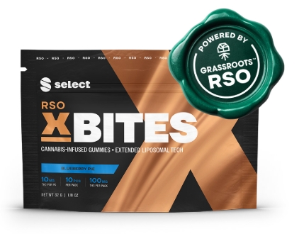 RSO X Bites Blueberry Pie | 10pk/100mg