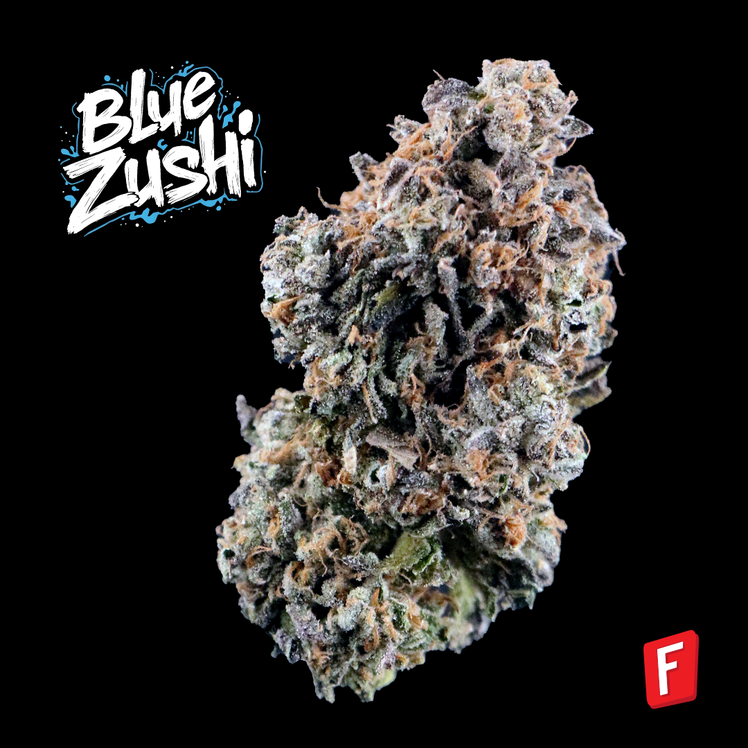 Blue Zushi Flower
