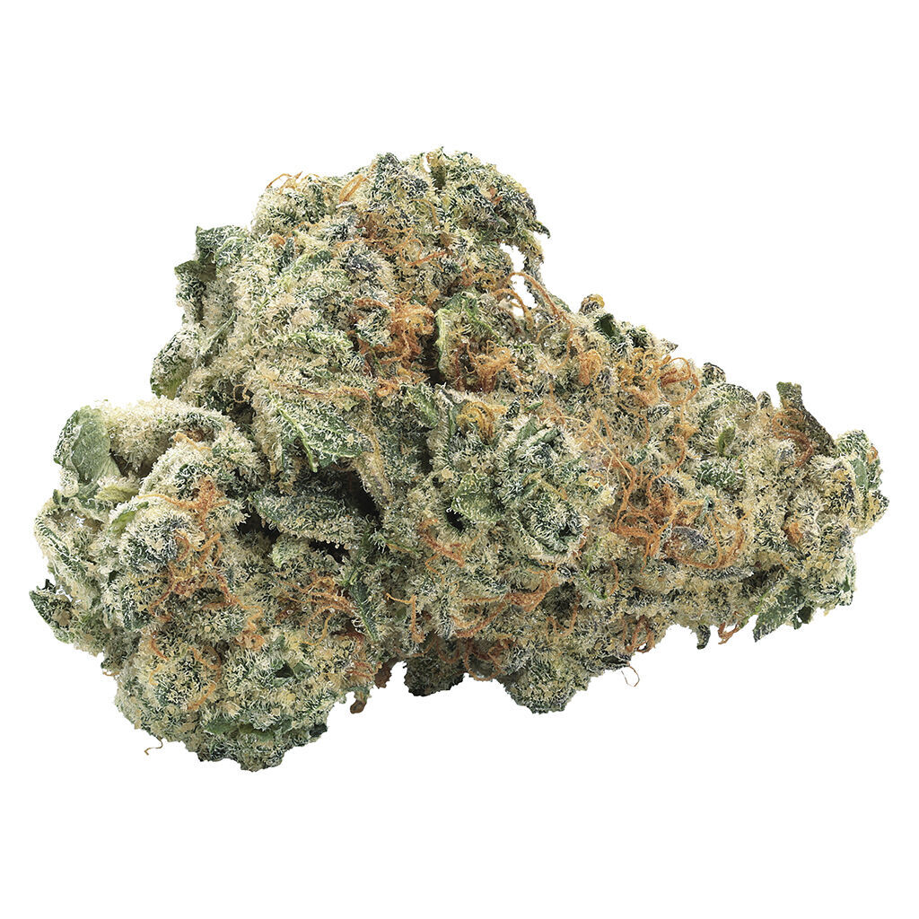 Big Bag O' Buds - Gasberry Kush (Lemonpaya x Cherry Pie) - Indica