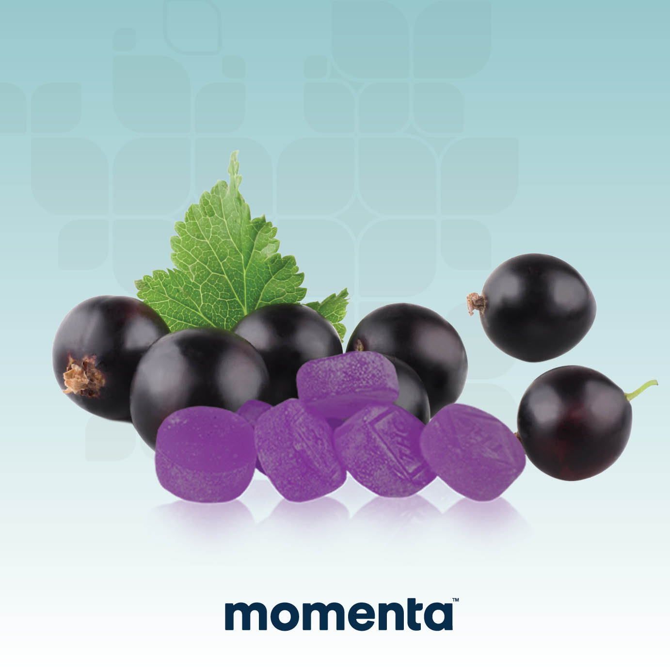 Elderberry Live Rosin Troches 10ct/10mg