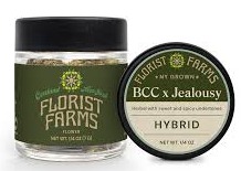 Florist Farms | Banana Cream Cake | Hybrid | Flower