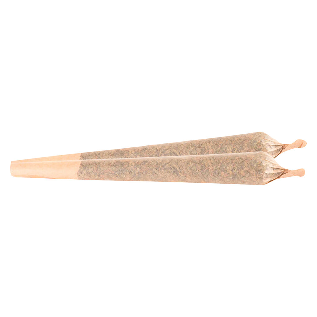 Panama Gold Pre-Roll | 2x1g