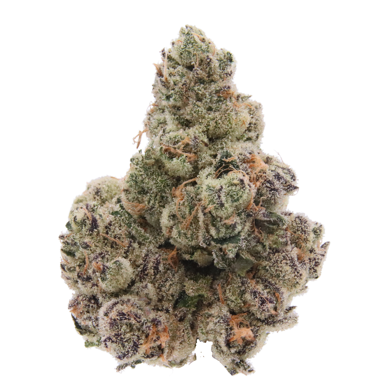 Double Up | Astro Buds Jar