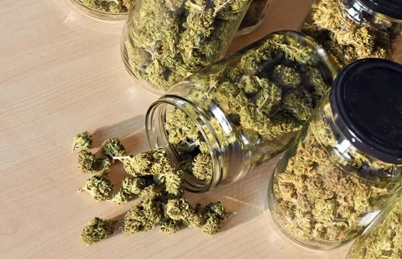 Cherry Lady Slipper (Bulk) - 28g in Luverne