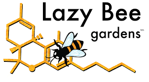 Rso Cbd Ethanol Mixed Doh