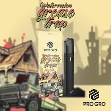 WATERMELON GREASE TRAP | INDICA | LIVE RESIN DISPOSABLE | 1G | REC