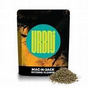 Ground Flower Baby Yoda Indica