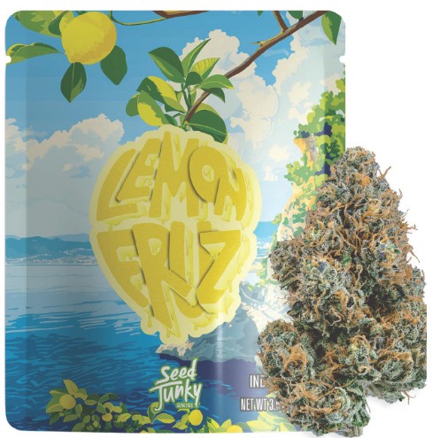 Lemon Fruz [S] - Flower
