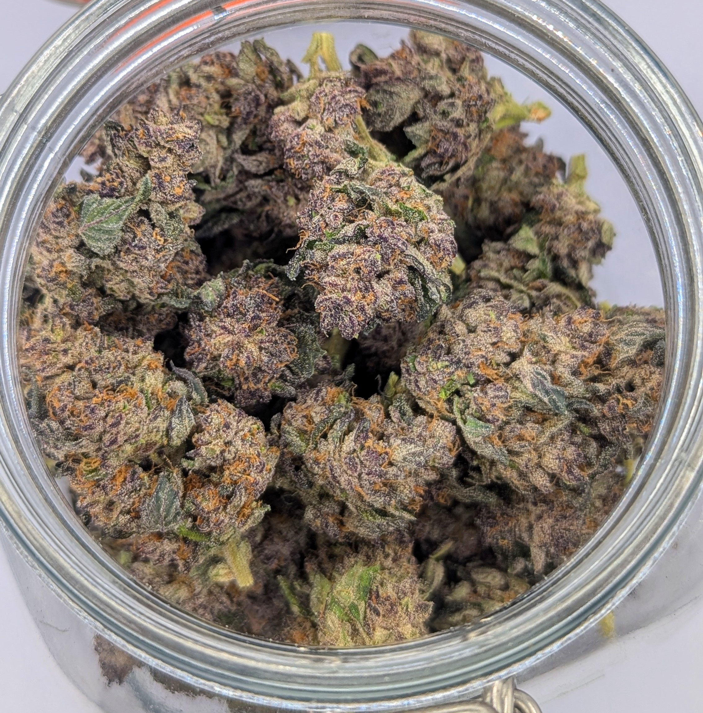 Ruby Sun Grown Deli Flower